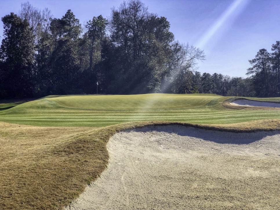 Palmetto Golf Club Courses